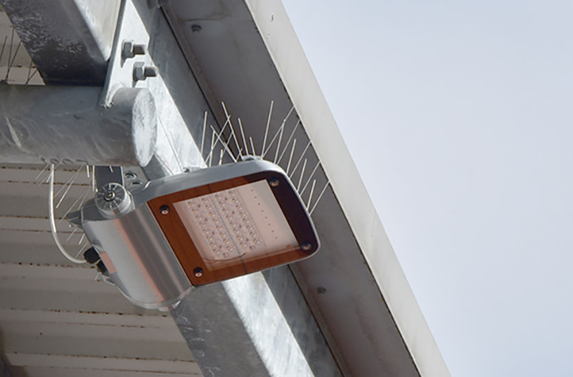 Flutlichter Flutlicht LED