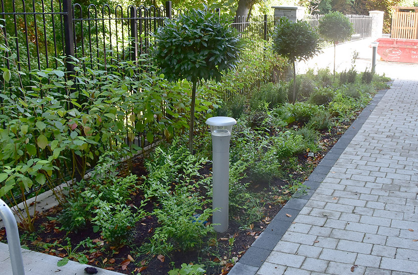 LED-Poller-6 Lighting Bollard in Flowerbed