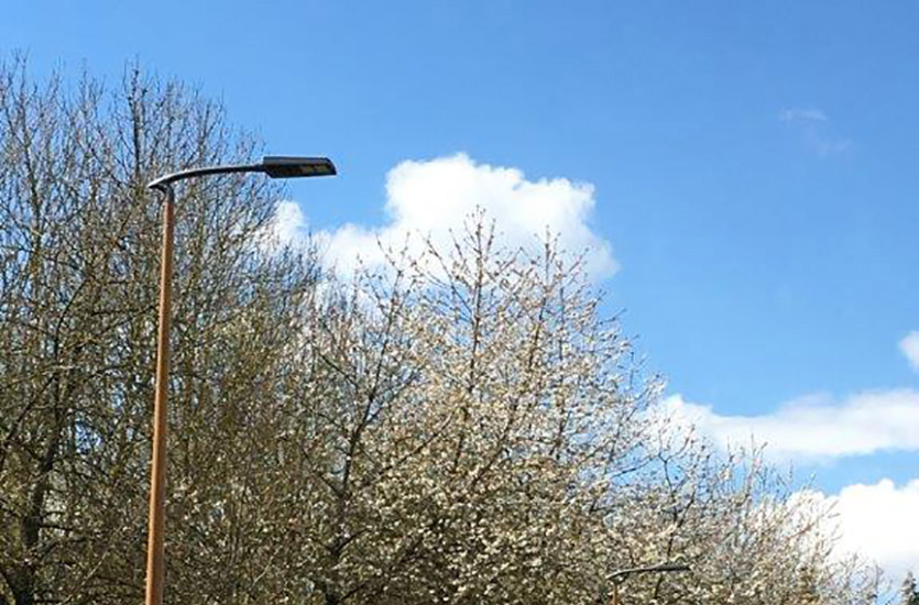 holzerner-Lichtmast-3 Wooden Pole Effect with Streetlight